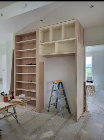 Built-in bookcase and cabinet surround, before paint