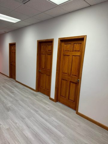 Office corridor - new doors, trim and LVP flooring